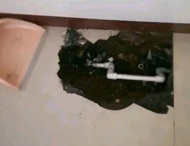河源卫生间测漏水多少钱
